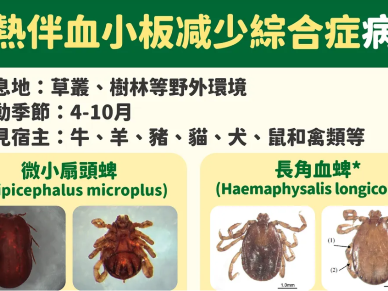 被蜱蟲咬到致死率5~15% ! 70多歲男「全身無力、發燒、血小板低下」通報「血小板減少綜合症」